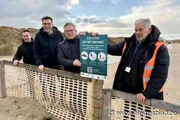 Honden het hele jaar door welkom op strand van Zeebrugge: “Maar wees aandachtig voor zeehonden”