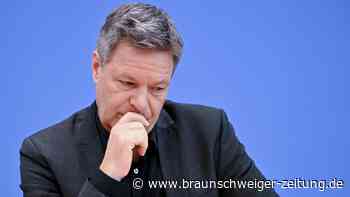 Habeck hat eine entscheidende Fähigkeit gefehlt