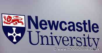 Newcastle University deadline for academic severance over as industrial action looms