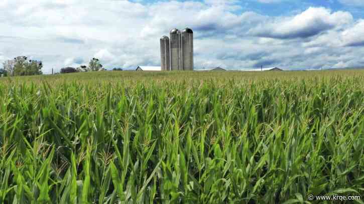 EPA to make higher-ethanol gas available year round beginning in April