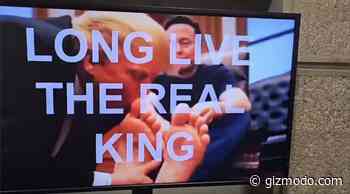 Trump Sucks Elon Musk’s Toes in AI Video Played on Federal Agency TVs