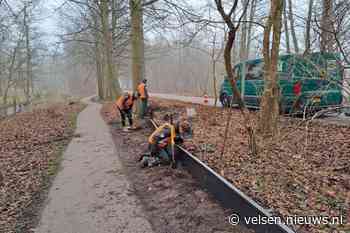 Padden in Gemeente Velsen steken veilig over dankzij innovatief paddenscherm