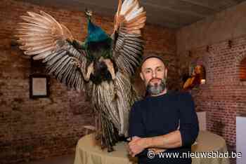 Robbie (44) is al 25 jaar lang taxidermist: “Het moeilijkste is de mimiek, je wilt het dier als het ware weer tot leven brengen”