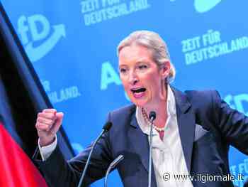 Weidel leader del Pd, Trump divorzia da Conte e la Germania: quindi, oggi...