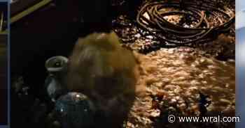 Soaked with sewage: Homeowner left with big bill after sewer backup into home