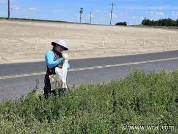 NC State graduate one of many scientists hit by federal workforce cuts