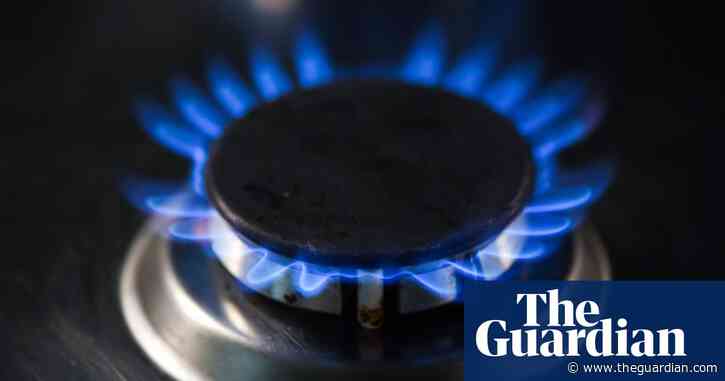 US fossil fuel industry campaigns to kill policies that ban gas in new buildings