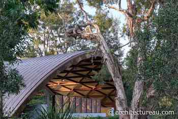 Is it time to normalise mass timber in construction?