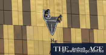 Pam the Bird accused asks for bail to work in a paint company