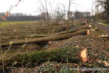 Bulbierbroek moet Sint-Anna beschermen tegen wateroverlast