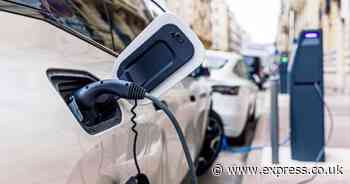 Certain drivers can 'get free road tax until 2026' says budgeting expert – act now