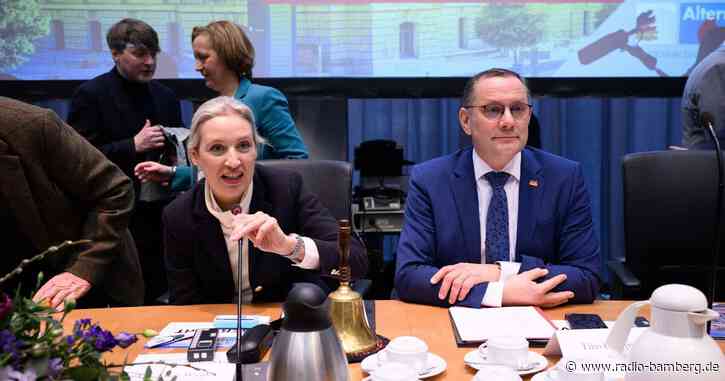 Weidel und Chrupalla als AfD-Fraktionschefs bestätigt