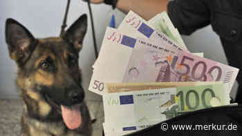 Hundesteuer steigt um 60 Prozent: Eigentlich sollten es noch mehr werden