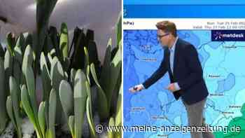 Winter-Revival oder Frühlingsdurchbruch? Rheinland-Pfalz im Wetter-Duell