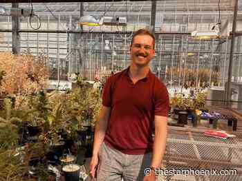 Young Innovators: U of S researchers ‘dig deep’ to address heavy metal contamination in Canada’s boreal forest