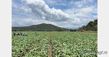 "Regen zorgt voor latere start van seizoen"