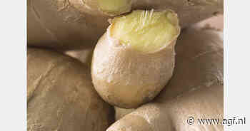 Geen goed jaarbegin voor Peruaanse gember