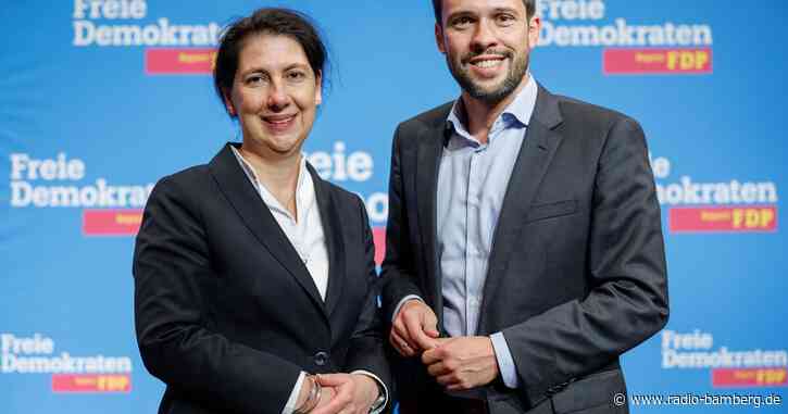 FDP-Landeschefs Hagen und Hessel kündigen Rückzug an
