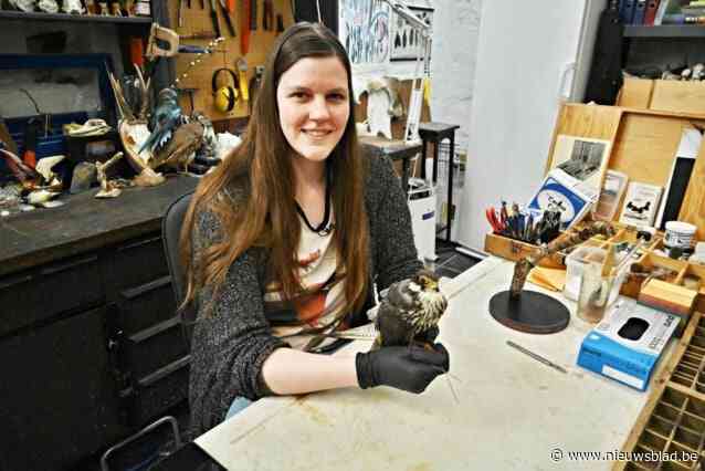 West-Vlaamse Gidsenkring zoekt naar beestjes in de stad