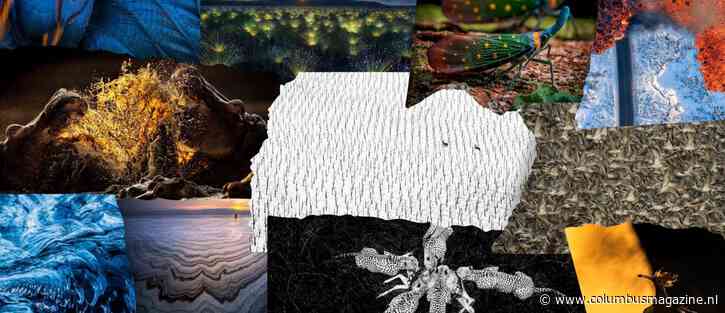 Dit zijn de winnaars van de World Nature Photography Awards