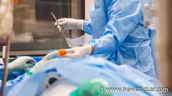 Franse oud-chirurg bekent 'overgrote meerderheid' in enorme kindermisbruikzaak