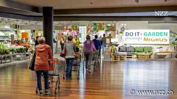 KOMMENTAR - Do it + Garden ist tot – und das Geschäftsmodell des traditionellen Fachhandels vielleicht bald auch