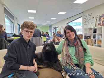 Hond Sterre voor proefproject te gast op school maar iedereen hoopt dat ze blijft: “Het is een echte diva”