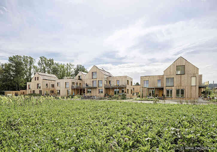 Baugruppe bei Wien - Wohnsiedlung von einszueins architektur