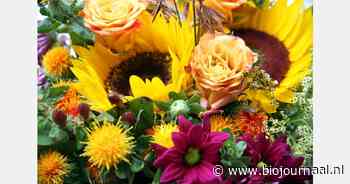 Meerderheid Nederlanders wil bloemen zonder bestrijdingsmiddelen, maar weet niet waar ze die kunnen kopen