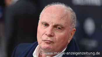„Grüße an Uli“: AfD-Parteichef reagiert auf Hoeneß-Kritik