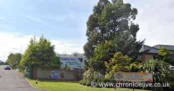 Popular Northumberland garden centre's reopening date set with giveaways for first customers