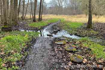 Heimatverein Enger moniert Zustände von Wanderwegen