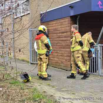 Jongen klimt over hek De Kameleon en komt lelijk ten val