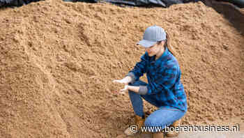 Ruwvoer blijft aan de prijs, bijproducten goedkoper