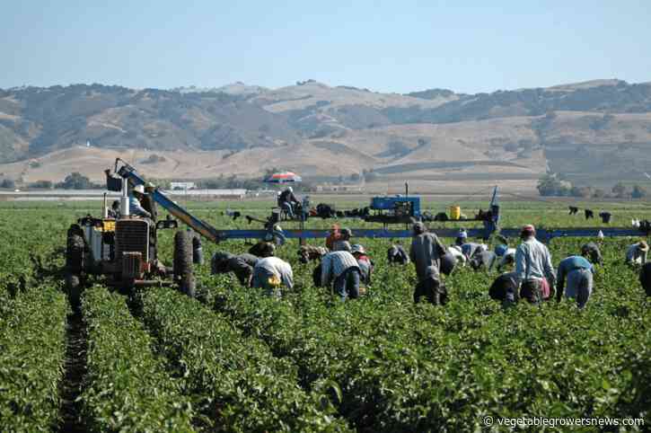 NCAE webinar to prepare ag industry for ICE raids
