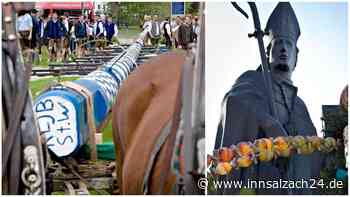 Bürger-Festival und Regensburger Domspatzen: Mit diesen Highlights feiert St. Wolfgang Jubiläum