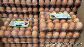 Consumer confidence falls to lowest level since August 2021