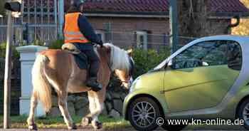 Reiterin (18) unter Tränen über Autofahrer: „Ich dachte, er holt jetzt ein Beil“