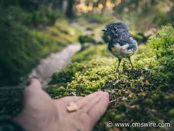 How Responsible Marketing Protects Customer Trust