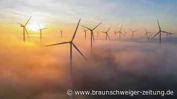 Wolfsburger protestieren gegen Windpark im Schuntertal