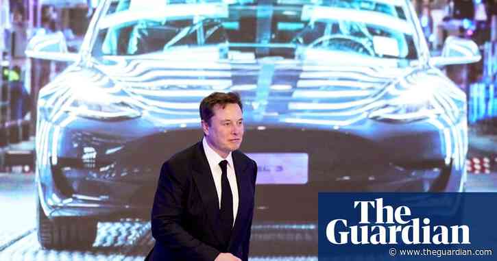 ‘I felt nothing but disgust’: Tesla owners vent their anger at Elon Musk