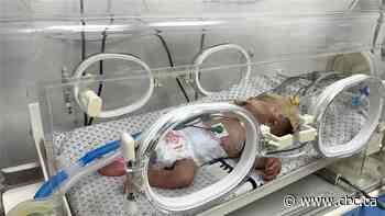 Medical officials in Gaza sound the alarm after 6 infants die from cold weather