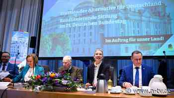 Alles vergeben und vergessen?: Wie die AfD-Fraktion mit ihren Radikalen umgehen will