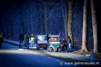 FOTO UPDATE: Drie apen ontsnapt uit dierentuin