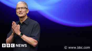 Apple boss says its DEI programmes may change