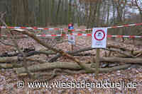 Mountainbike-Strecke am Schläferskopf wegen Astbruch-Gefahr gesperrt