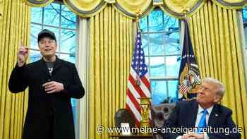 Musk wird an Trumps Kabinettstreffen teilnehmen