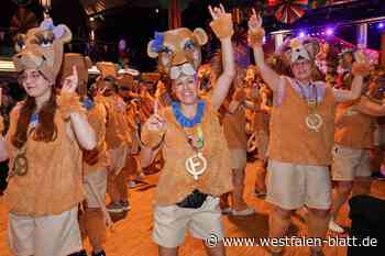 Karnevalskostüme in Beverungen: Das große Geheimnis