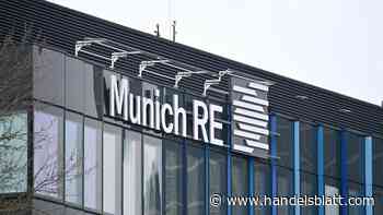 Rückversicherer: Munich Re erhöht Dividende und kauft Aktien zurück