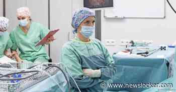 Groeiende kritiek op zzp-wet, maar veel zelfstandigen ’willen de waarheid niet horen’